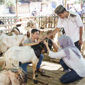 Qurbani Pakistan
